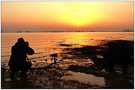 日出,海,美景