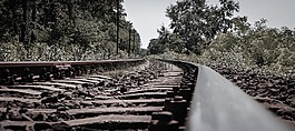 鐵路,鋼,樹(shù)