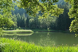 奧地利,池,水