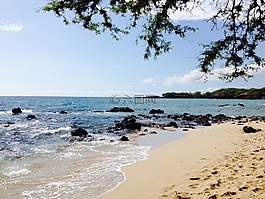 夏威夷,海灘,假期