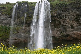 環(huán)境,秋天,草