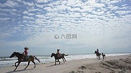 海,自由,夏季