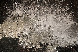 森林,自然,啟動(dòng)畫面