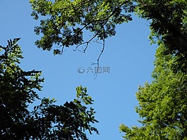 天空,蓝色,阳光