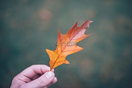 美麗,光明,變化
