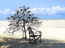 海灘,海,椅子