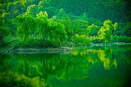 業(yè)務(wù),儲(chǔ)集層,湖