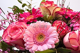 玫瑰,非洲菊,復合材料