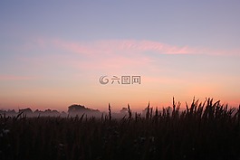 日出,清晨,雾