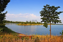 景觀,湖,樹木