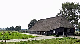 荷兰,景观,景区