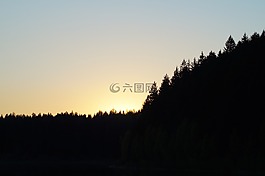森林,日落,夏季