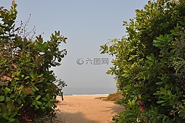 印度,果阿,到海灘路