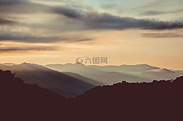 天空,樹,夜