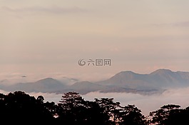 天空,樹,夜