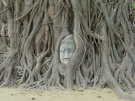 佛教,旅行,古代