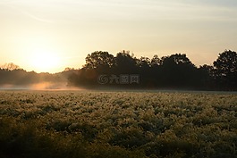 秋季,林,性質(zhì)