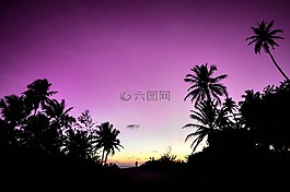 環(huán)礁,海灘,夫婦