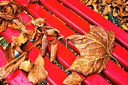 工作臺(tái),十月,葉子