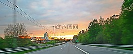 瑞典,路,樹