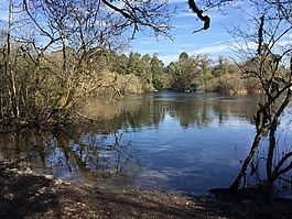 湖,ashford,水