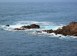 海,海洋,侧