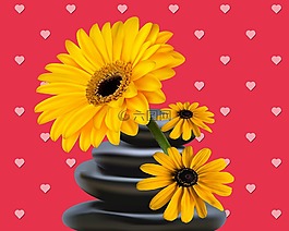 花,植物,花瓣