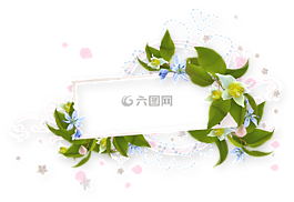 春天,布魯姆,春天的花朵