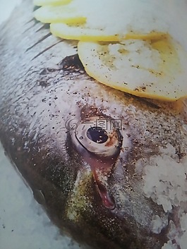 魚,食品,海鮮
