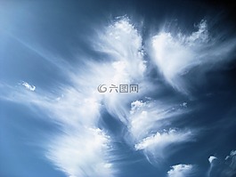 云,鳥,美