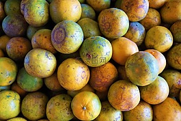 食品,水果,熱帶