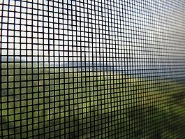 自由,安全,百科全書(shū)