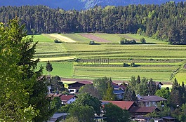 奧地利景觀,培養(yǎng),農(nóng)業(yè)