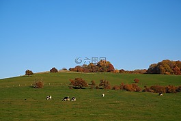秋季,秋天的落叶,herbstimpression