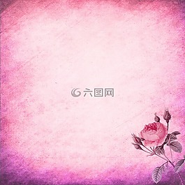 背景,剪貼簿,紙
