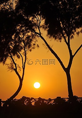 日落,自然,海灘