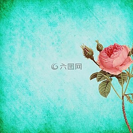背景,剪貼簿,紙