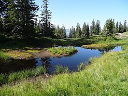 山,系泊,水