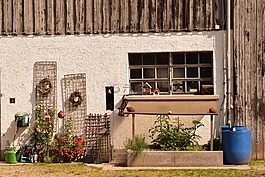 hauswand,門面房,農(nóng)村