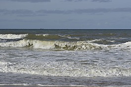 海,海灘,濱