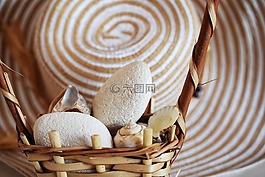 夏天,海,假日