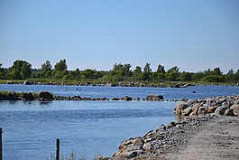 自然,夏天,海邊