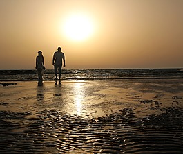 黃色,日落,黃昏