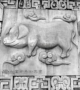 海,猪,中国星座