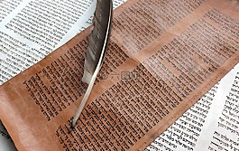 圣經(jīng),書,老書