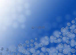 冬天,雪下,冷