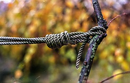 結,繩,綁