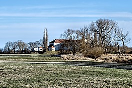 景观,elbwiesen,树木