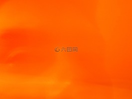 暮光之城,奧羅拉,橙色