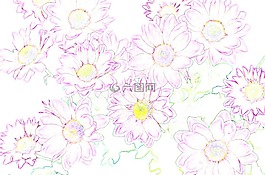 背景,鮮花,紫